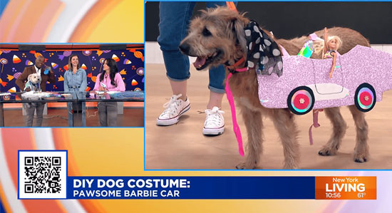 Live Doggy DIY Halloween Fashion Show!